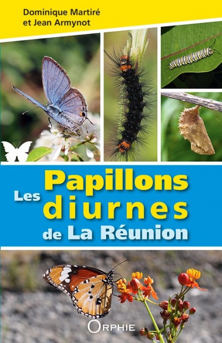 Les papillons diurnes de la Réunion