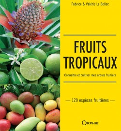 Fruits tropicaux - Editions Orphie