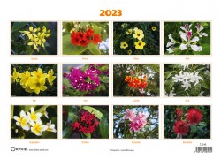 calendrier fleurs tropicaux - Editions Orphie