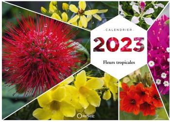 Calendrier fleurs tropicales - Editions Orphie