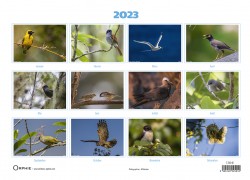 calendrier 2023 oiseaux de la réunion - éditions orphie
