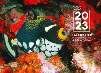calendrier poissons 2023 - Editions Orphie