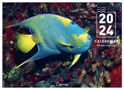 Calendrier Poissons...