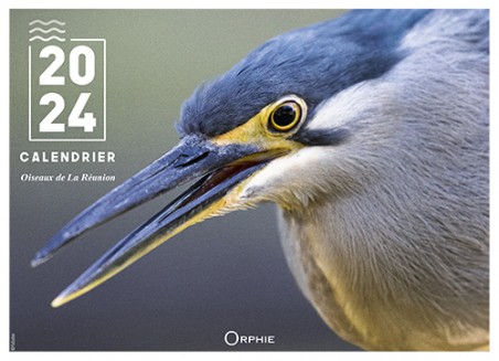 Calendrier Oiseaux de La Réunion 2024 I Editions Orphie