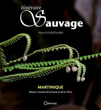 Itinéraire sauvage Martinique - Beauté, mystère de la faune et de la flore